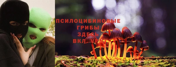 гидра Балабаново